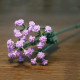 moc bouquet flower romantic bricks rose toys moc bouquet flower romantic bricks rose toys