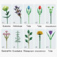 moc bouquet flower romantic bricks rose toys moc bouquet flower romantic bricks rose toys