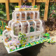 moc expert neoclassical botanical garden bricks toy moc expert neoclassical botanical garden bricks toy
