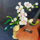moc flower bouquet orchid romantic bricks toy moc flower bouquet orchid romantic bricks toy