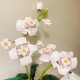moc flower bouquet orchid romantic bricks toy moc flower bouquet orchid romantic bricks toy