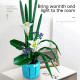 moc flowers bouquet bonsai lily potted plant bricks toys moc flowers bouquet bonsai lily potted plant bricks toys