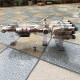moc star wars ucs tantive iv blockade runner bricks toy moc star wars ucs tantive iv blockade runner bricks toy